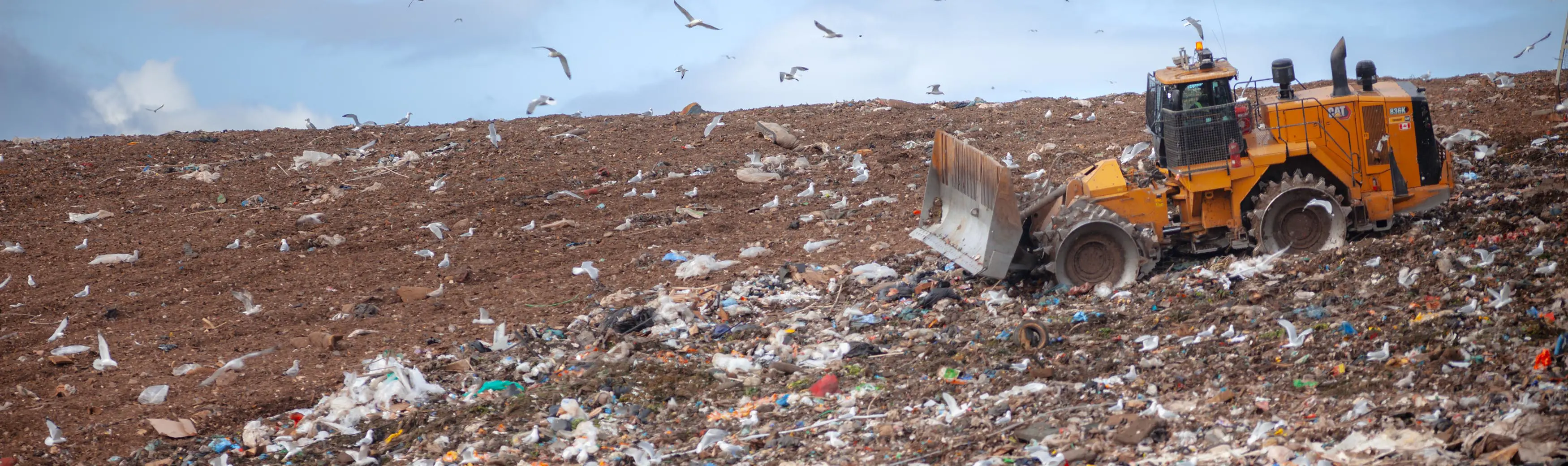 Contaminated Soil Disposal EssexWindsor Solid Waste Authority (EWSWA)