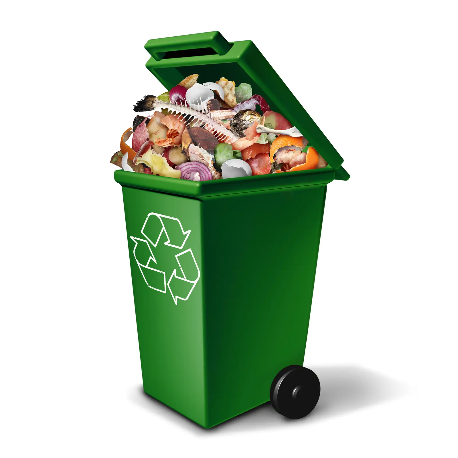 Green Bin Program / 2025 and Beyond EssexWindsor Solid Waste Green Bin Program / 2025 and Beyond EssexWindsor Solid Waste